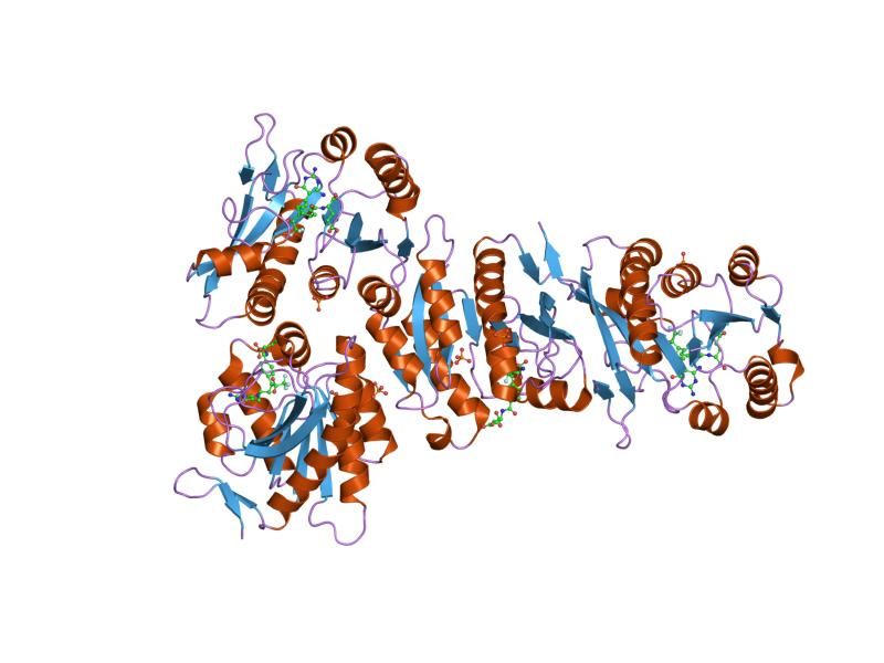 File:PDB 1rbq EBI.jpg