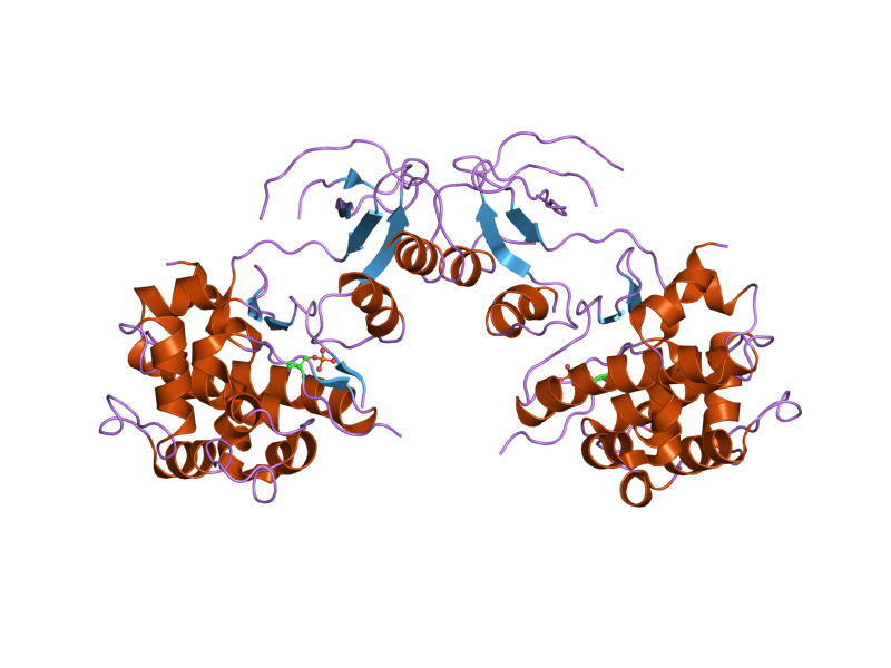 File:PDB 2bva EBI.png