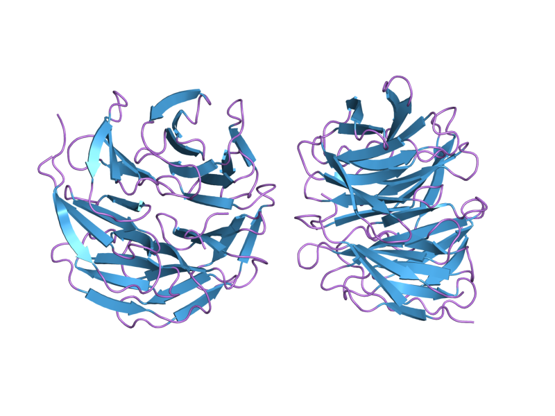 File:PDB 2h9m EBI.png