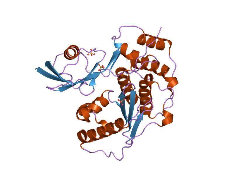 File:PDB 2io0 EBI.jpg