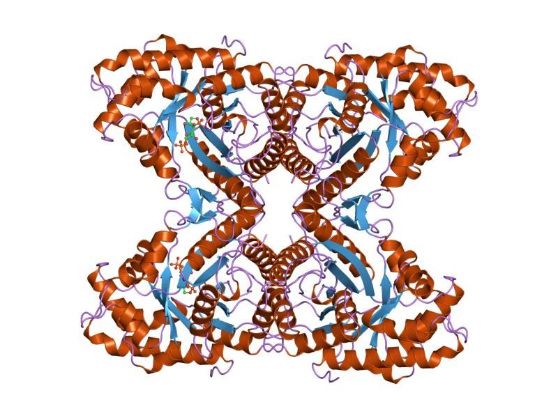 File:PDB 6ald EBI.jpg