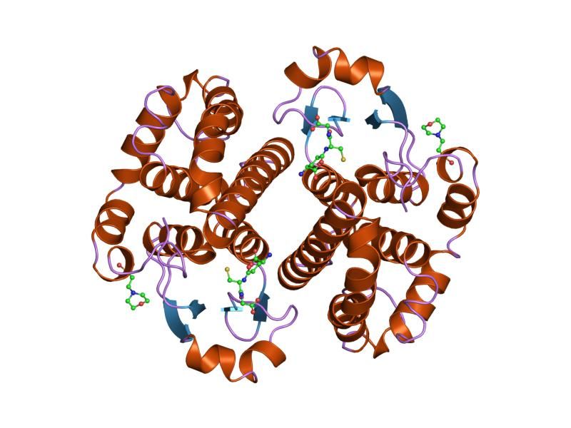 File:PDB 6gss EBI.jpg