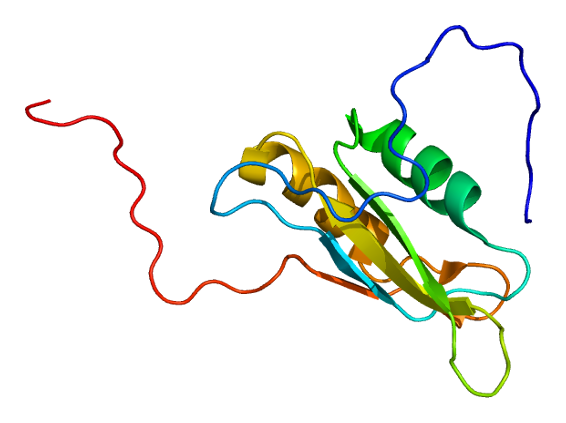 File:Protein CUGBP2 PDB 2cpz.png