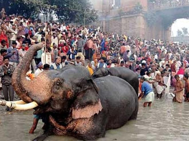 File:Sonepur Famous Fair.jpeg