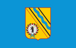 File:Tutayev flag.png