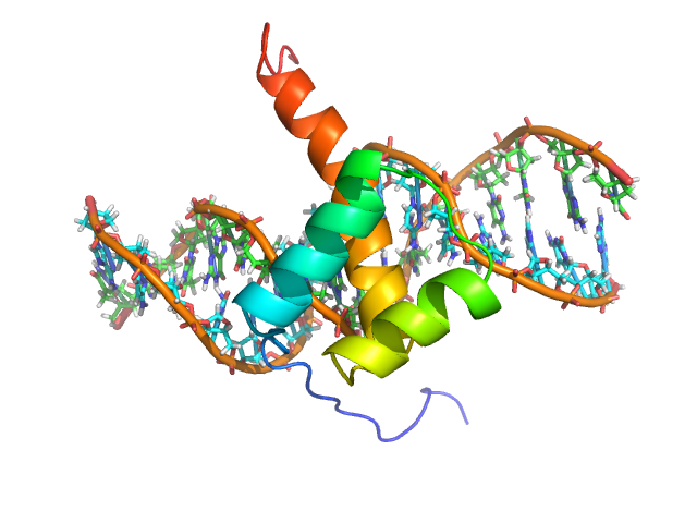 File:1NK2-NK2 homeodomain DNA complex.png