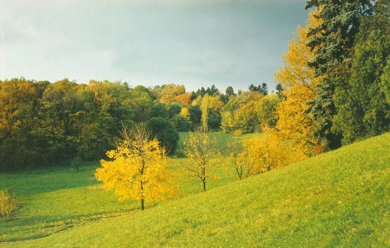 File:Autumn Taul Park (1980). (24455559571).jpg