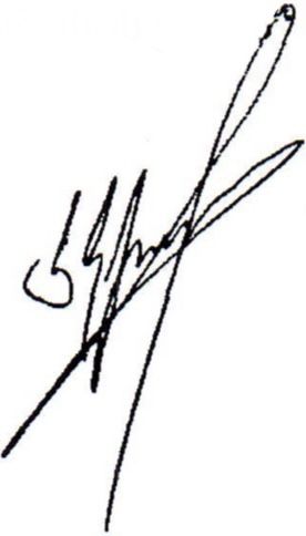 File:Kaladze signature.jpg