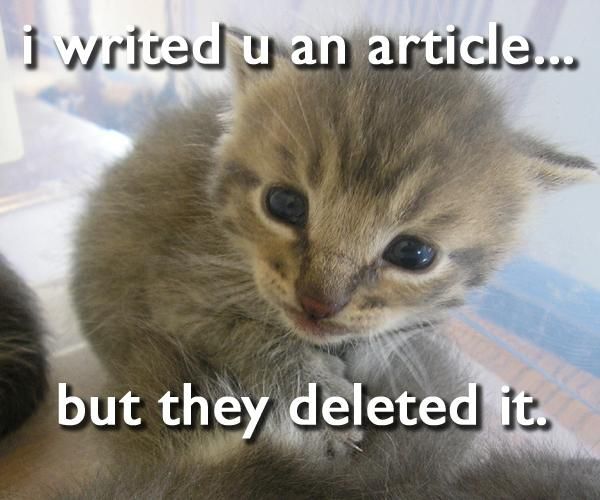 File:Lolcat2-cropped.jpg