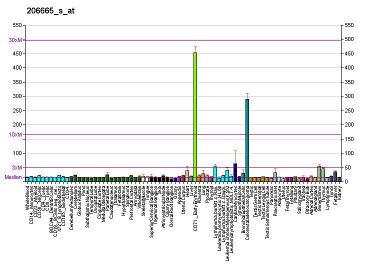 File:PBB GE BCL2L1 206665 s at fs.png