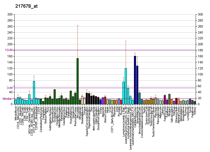 File:PBB GE SLC7A11 217678 at fs.png