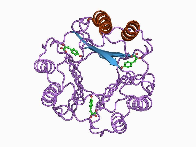 File:PDB 1ca7 EBI.jpg