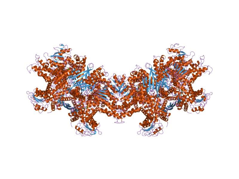 File:PDB 1nqt EBI.jpg