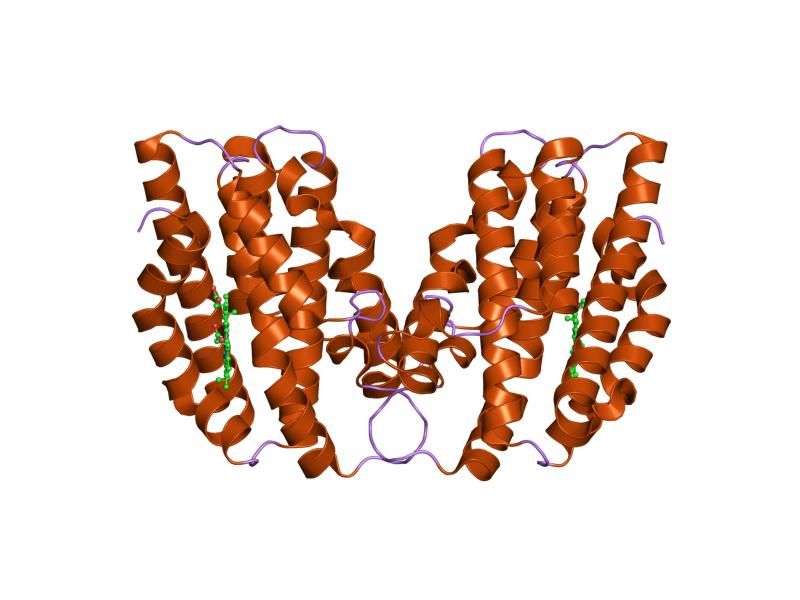 File:PDB 1ozr EBI.jpg