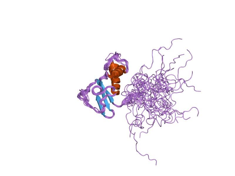 File:PDB 1qkl EBI.jpg