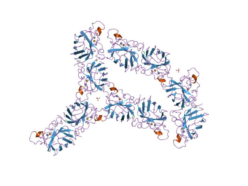 File:PDB 1sos EBI.jpg