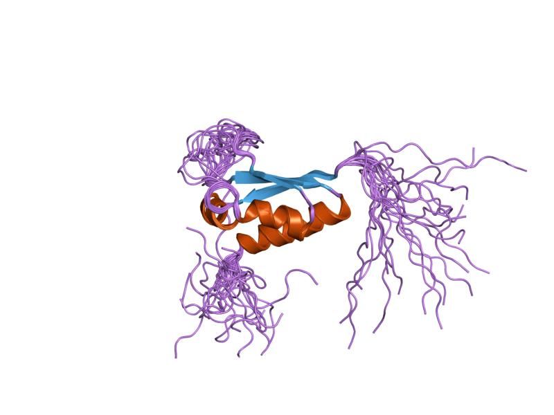 File:PDB 1x4m EBI.jpg