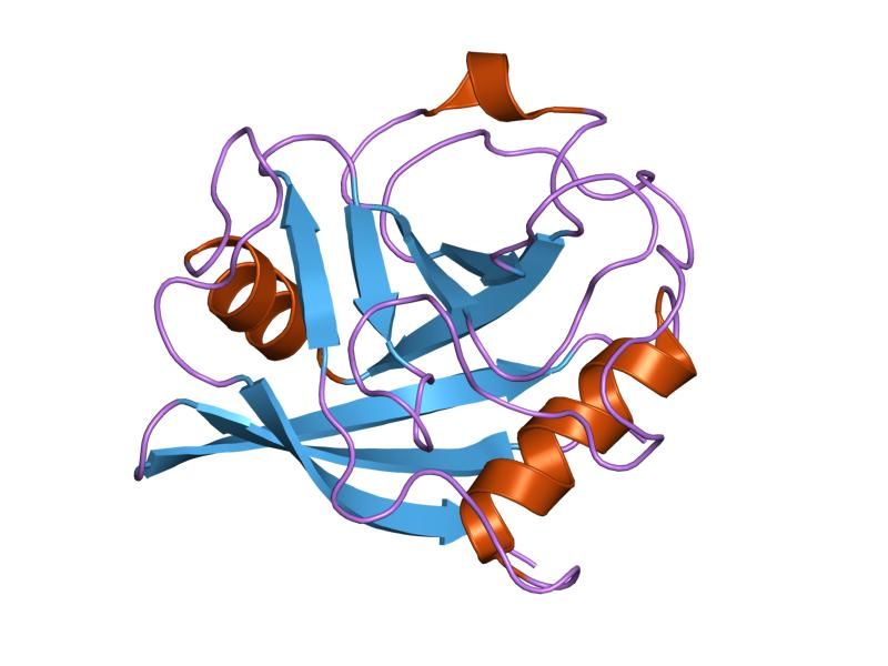 File:PDB 1zcx EBI.jpg