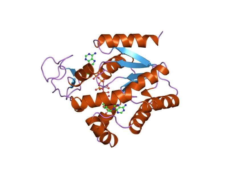 File:PDB 1zip EBI.jpg