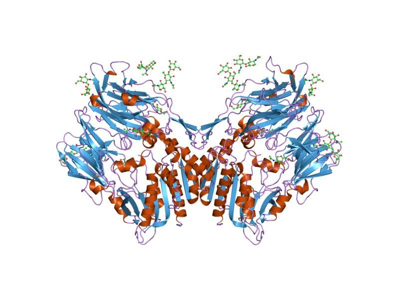 File:PDB 2bgr EBI.jpg