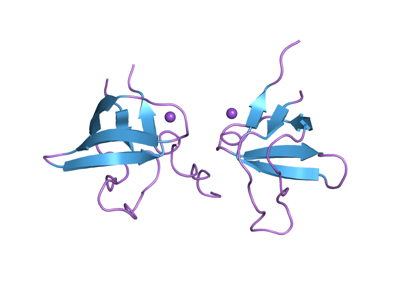 File:PDB 2bz8 EBI.png