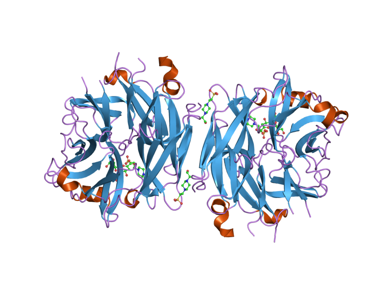 File:PDB 2f29 EBI.png