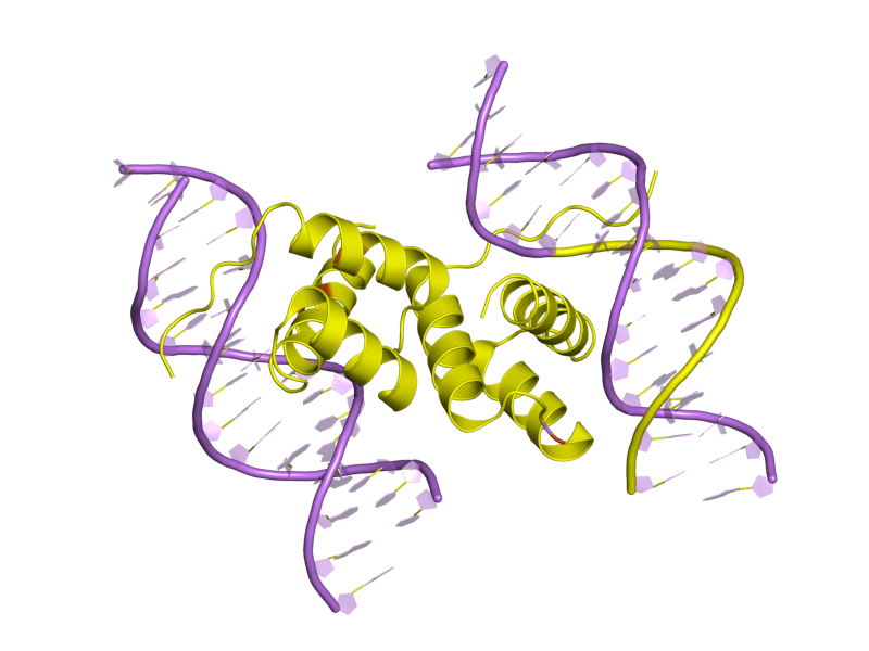 File:PDB 2h1k EBI.png