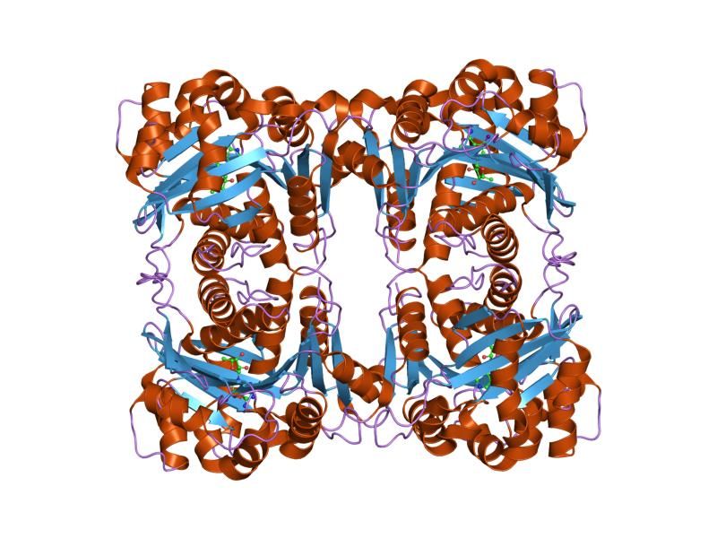 File:PDB 2i6a EBI.jpg