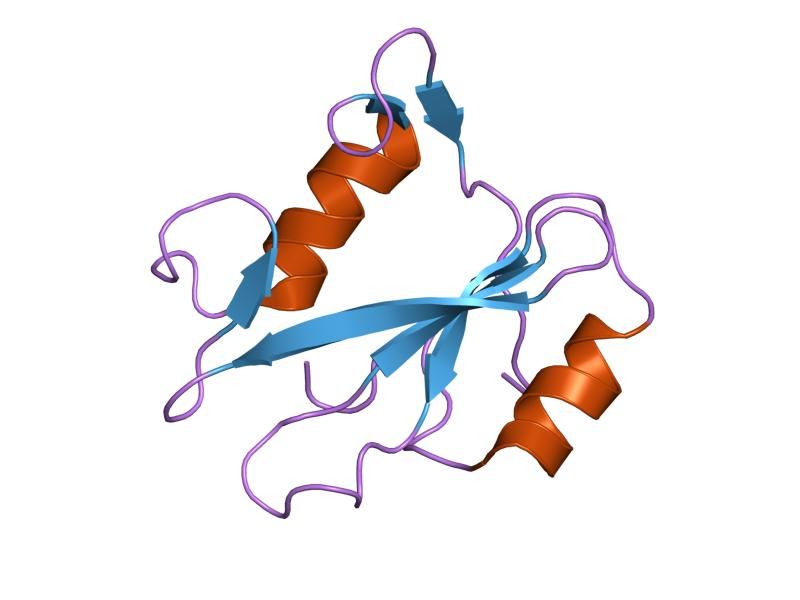 File:PDB 2pnb EBI.jpg