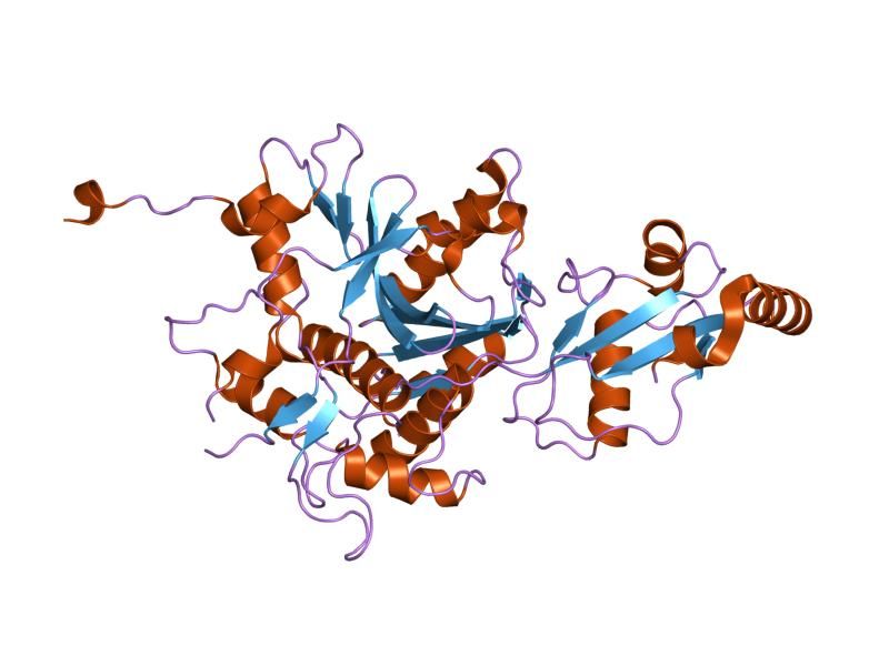 File:PDB 2z0e EBI.jpg