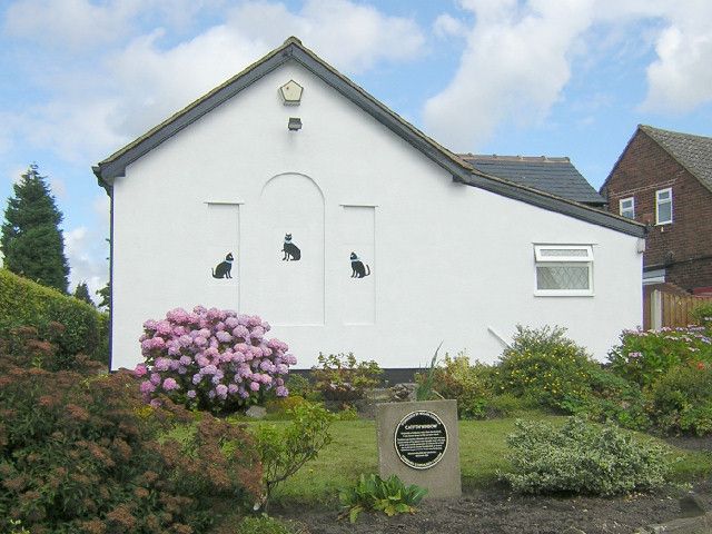 File:Standish with Langtree - Cat i'th' Window.jpg