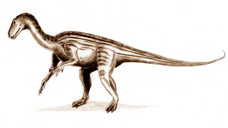 File:Thecodontosaurus.jpg