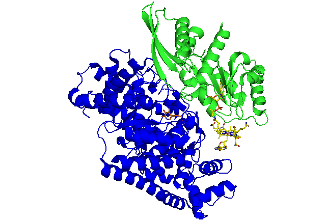 File:Two units of 5,6-LAM.png