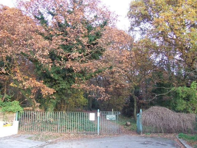 File:Biggin Wood, Norbury (geograph 3229396).jpg