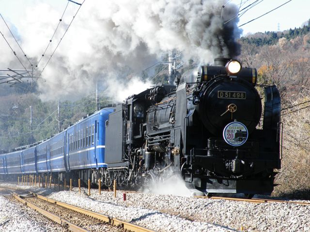 File:D51 498 on Joetsu Line 20081207.jpg