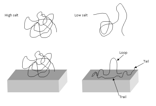 File:Effects of Salt Condition on Polyelectrolytes.png