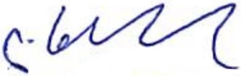 File:Levan Khabeishvili signature.jpg