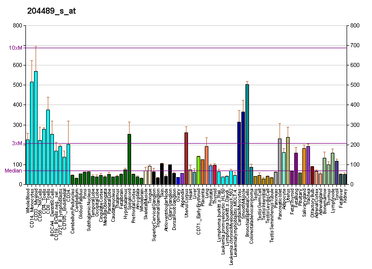 File:PBB GE CD44 204489 s at fs.png