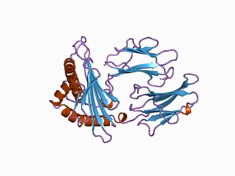 File:PDB 1a1o EBI.jpg