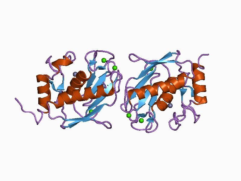 File:PDB 1cqr EBI.jpg