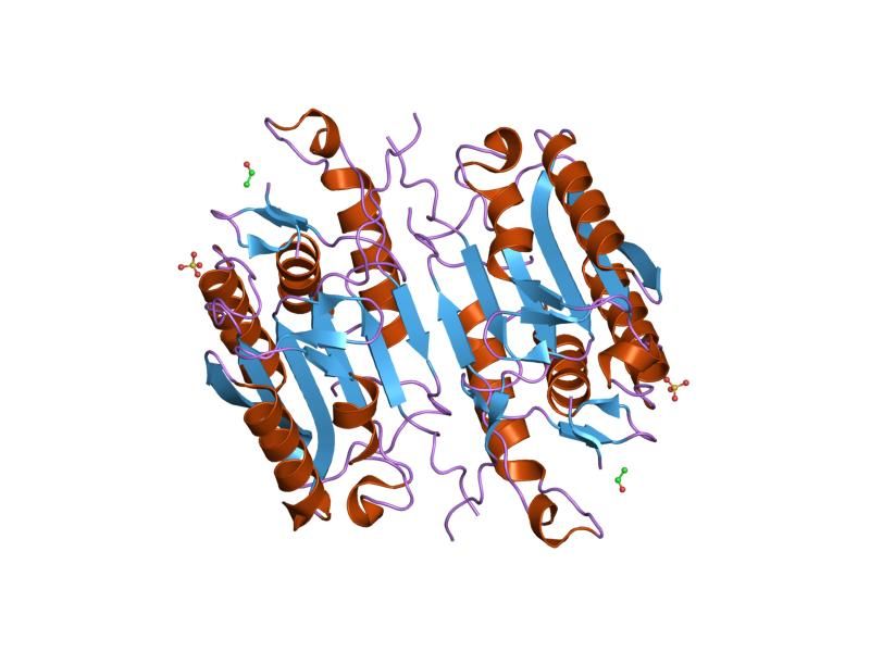 File:PDB 1f1j EBI.jpg