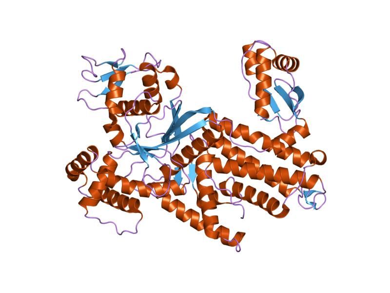 File:PDB 1iq0 EBI.jpg