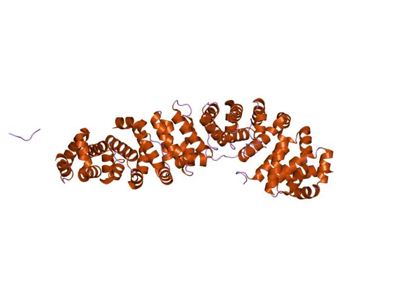 File:PDB 1jdh EBI.jpg