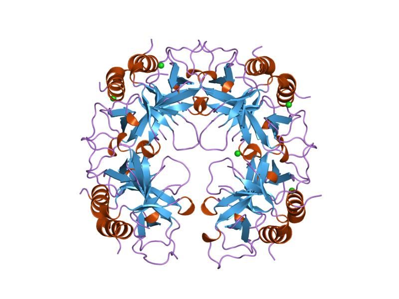 File:PDB 2vub EBI.jpg