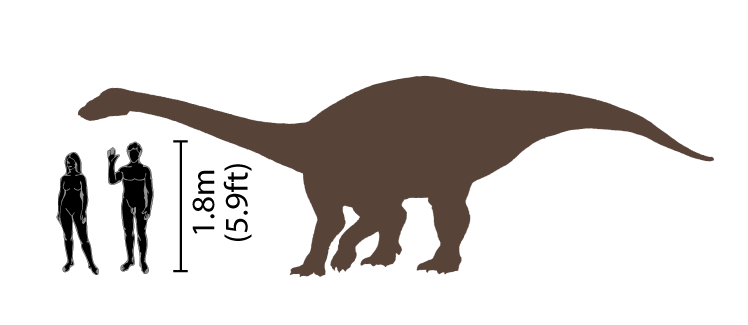 File:Riojasaurus size comparison v2.png