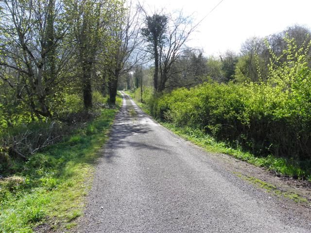 File:Road at Mackan (geograph 2915438).jpg