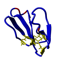 File:3D model of calciseptine structure.png