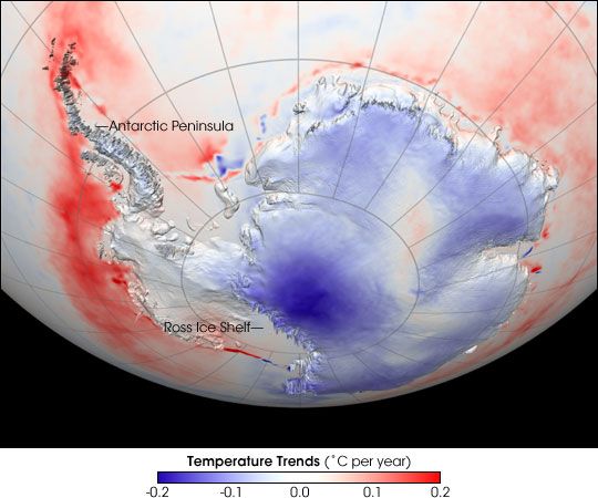 File:Antarctic temps.AVH1982-2004.jpg