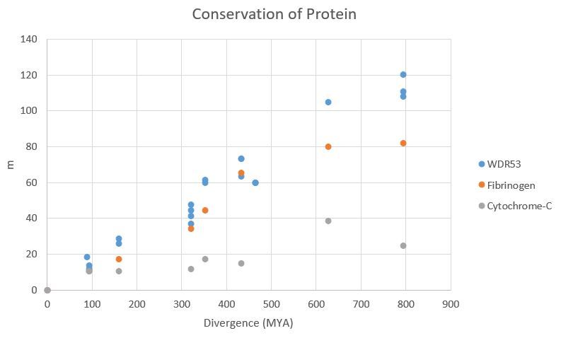 File:Chart of Divergence.jpg