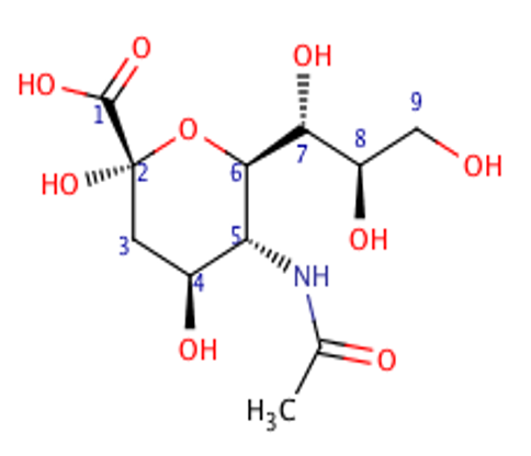 File:N-acetylneuraminic acid (Neu5Ac).png